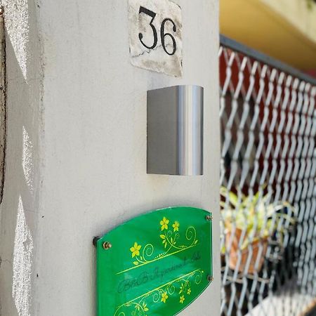 萨萨里Il Giardino Di Iole Via Giovanni Amendola N36住宿加早餐旅馆 外观 照片